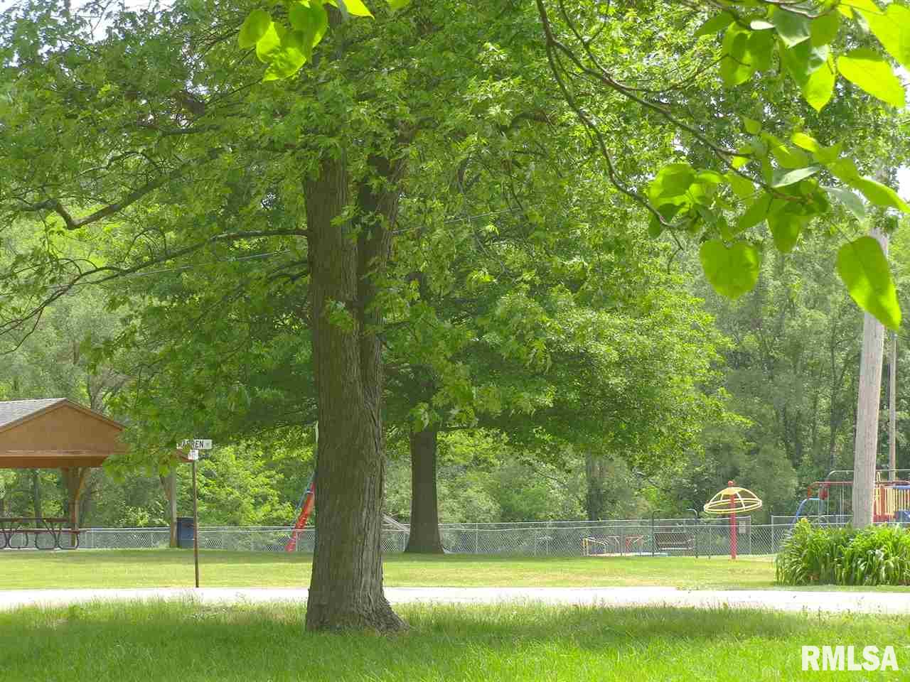 625 Warren Street Colona, IL 61241 - Photo 5 of 22 Gallery Image 5