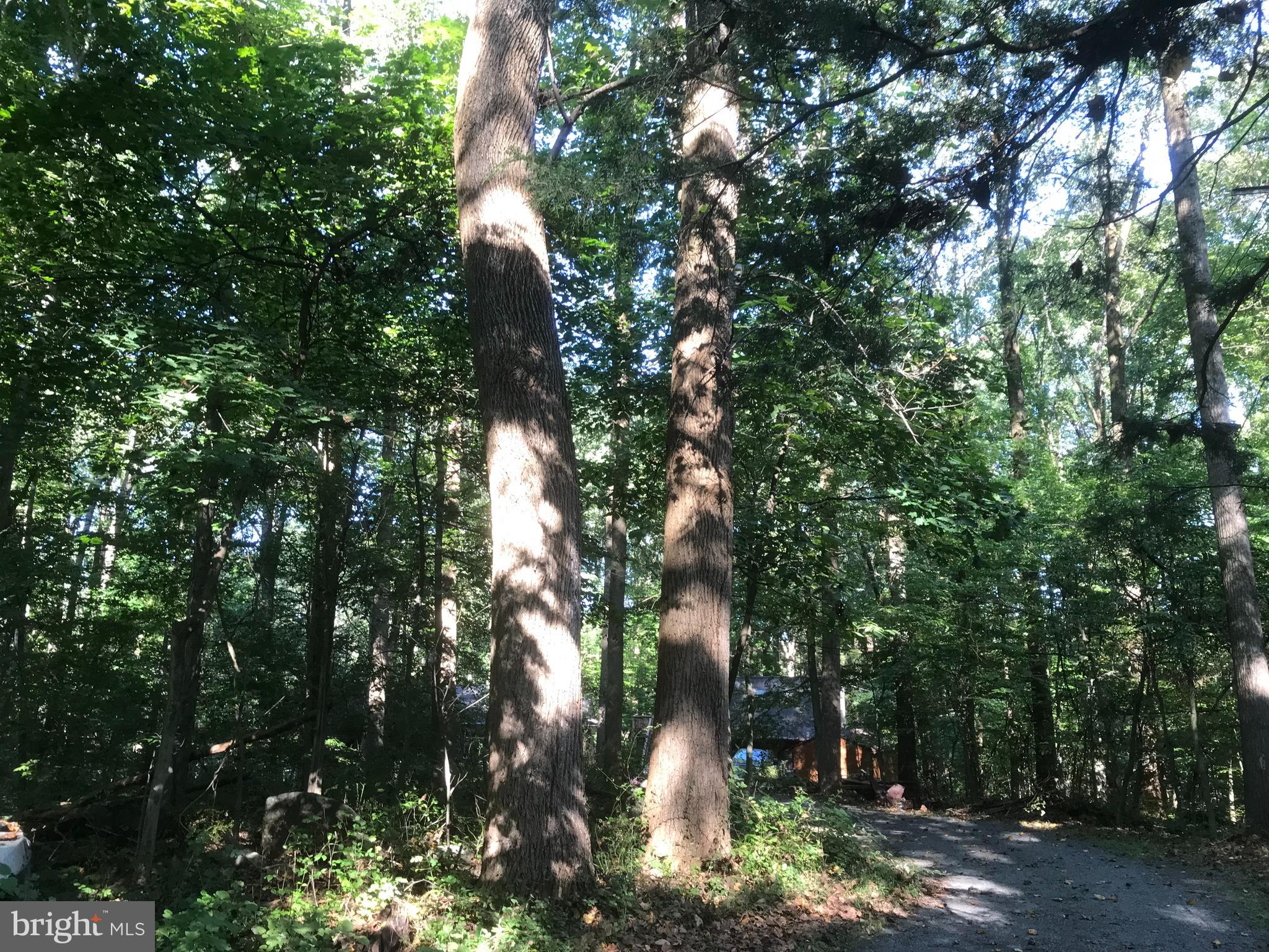 622 Rock Run Road Pottstown, PA 19465 - Photo 50 of 51 So much shade on this wooded lot