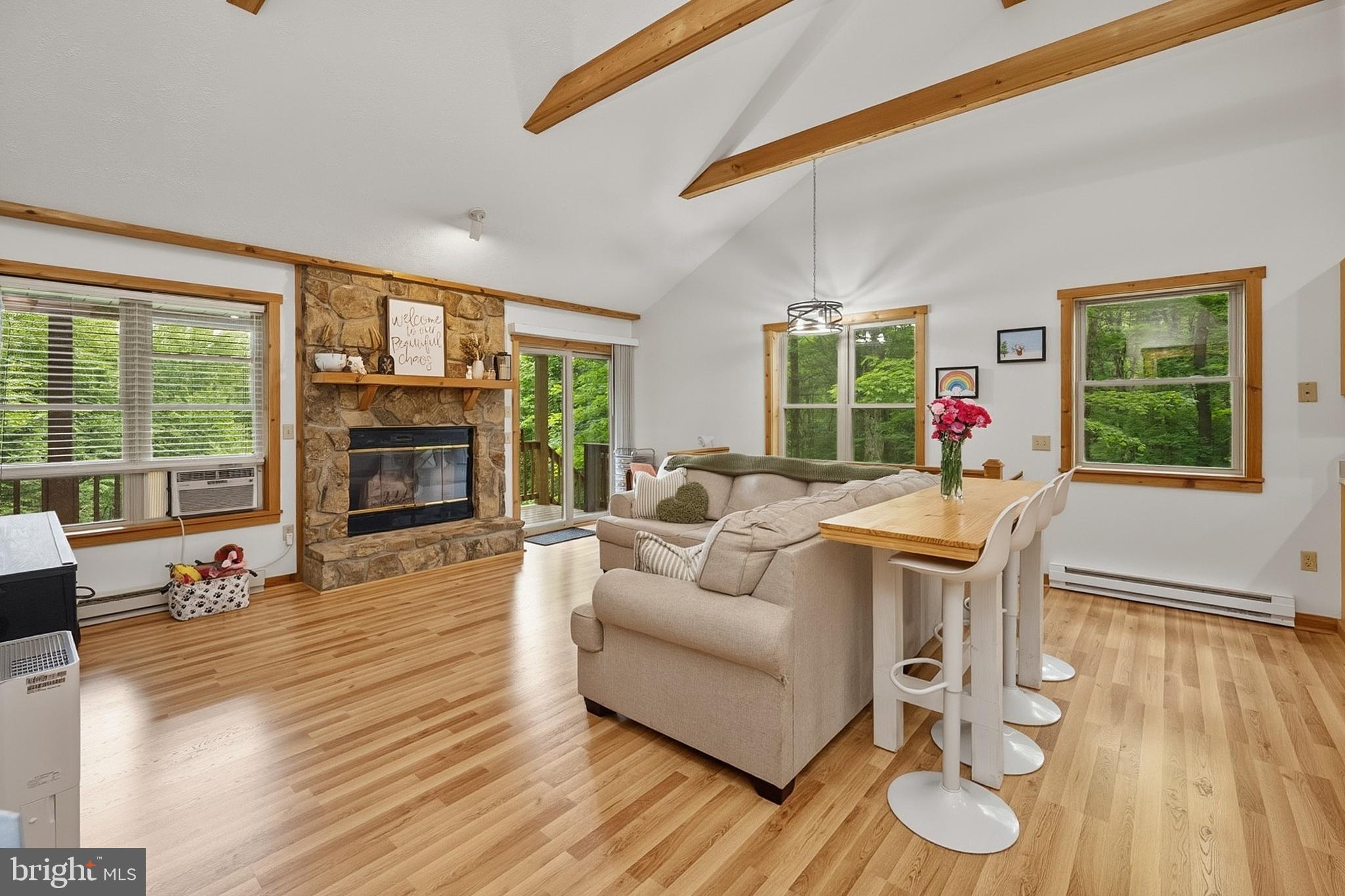 254 Little Mountain Road Oakland, MD 21550 - Photo 4 of 53