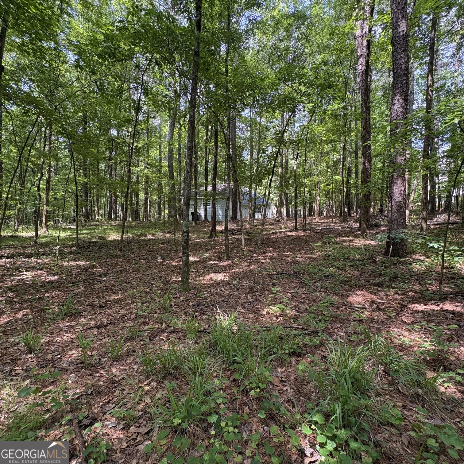 190 Rockington Drive Tyrone, GA 30290 - Photo 18 of 54 a backyard of a house with lots of green space and fog