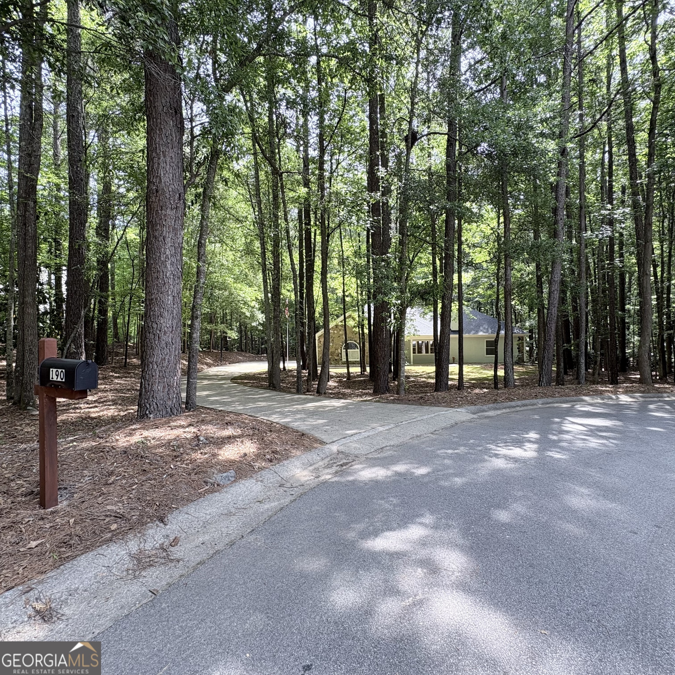 190 Rockington Drive Tyrone, GA 30290 - Photo 3 of 54 a view of outdoor space with trees
