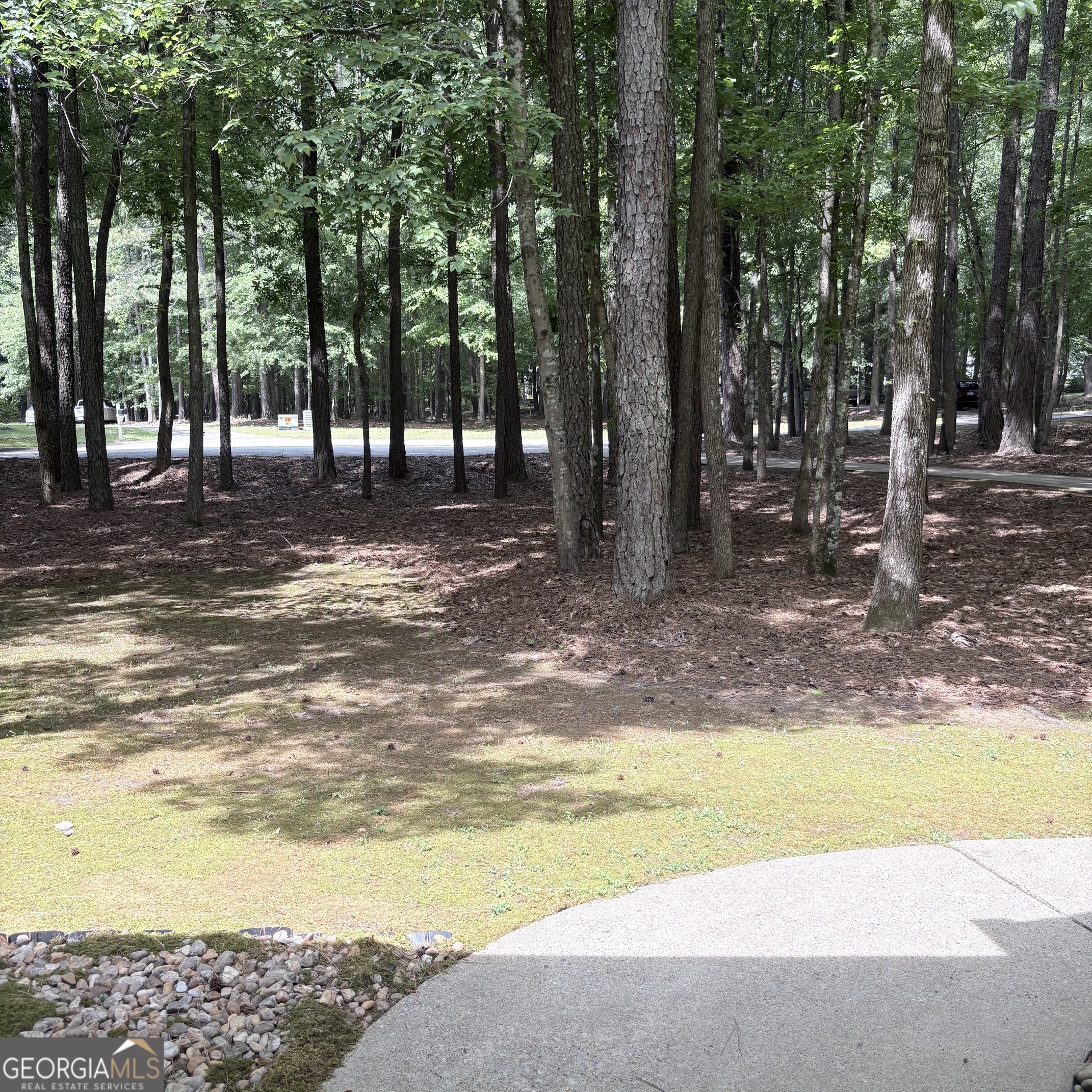 190 Rockington Drive Tyrone, GA 30290 - Photo 6 of 54 a view of outdoor space with trees all around