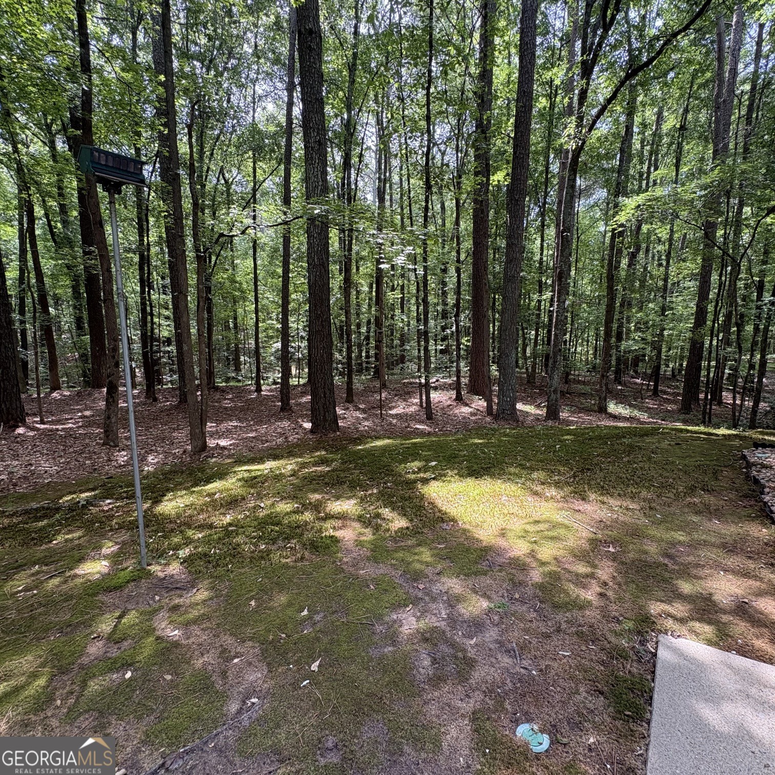190 Rockington Drive Tyrone, GA 30290 - Photo 9 of 54 a view of outdoor space with trees