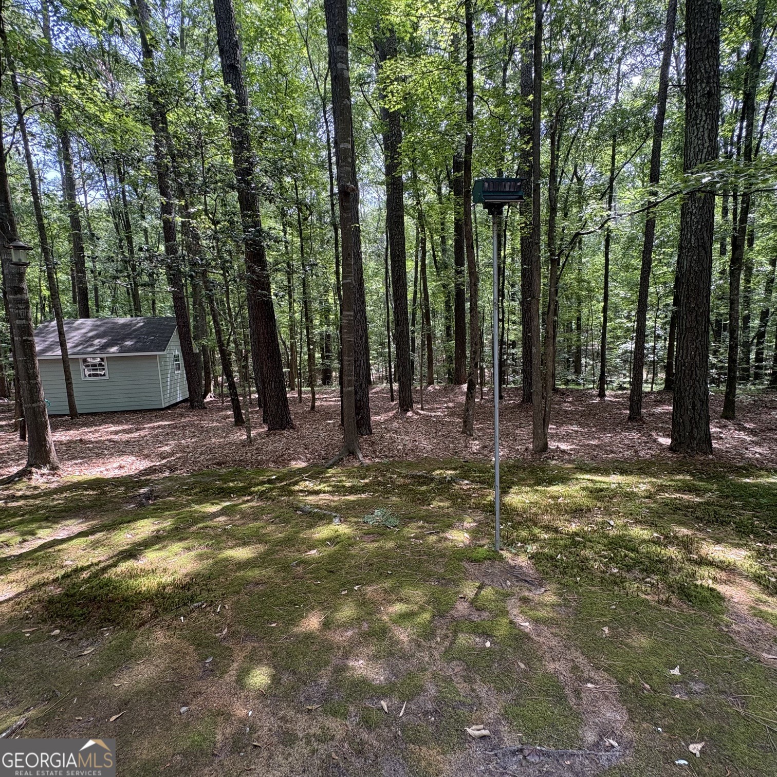 190 Rockington Drive Tyrone, GA 30290 - Photo 10 of 54 a view of a backyard with trees