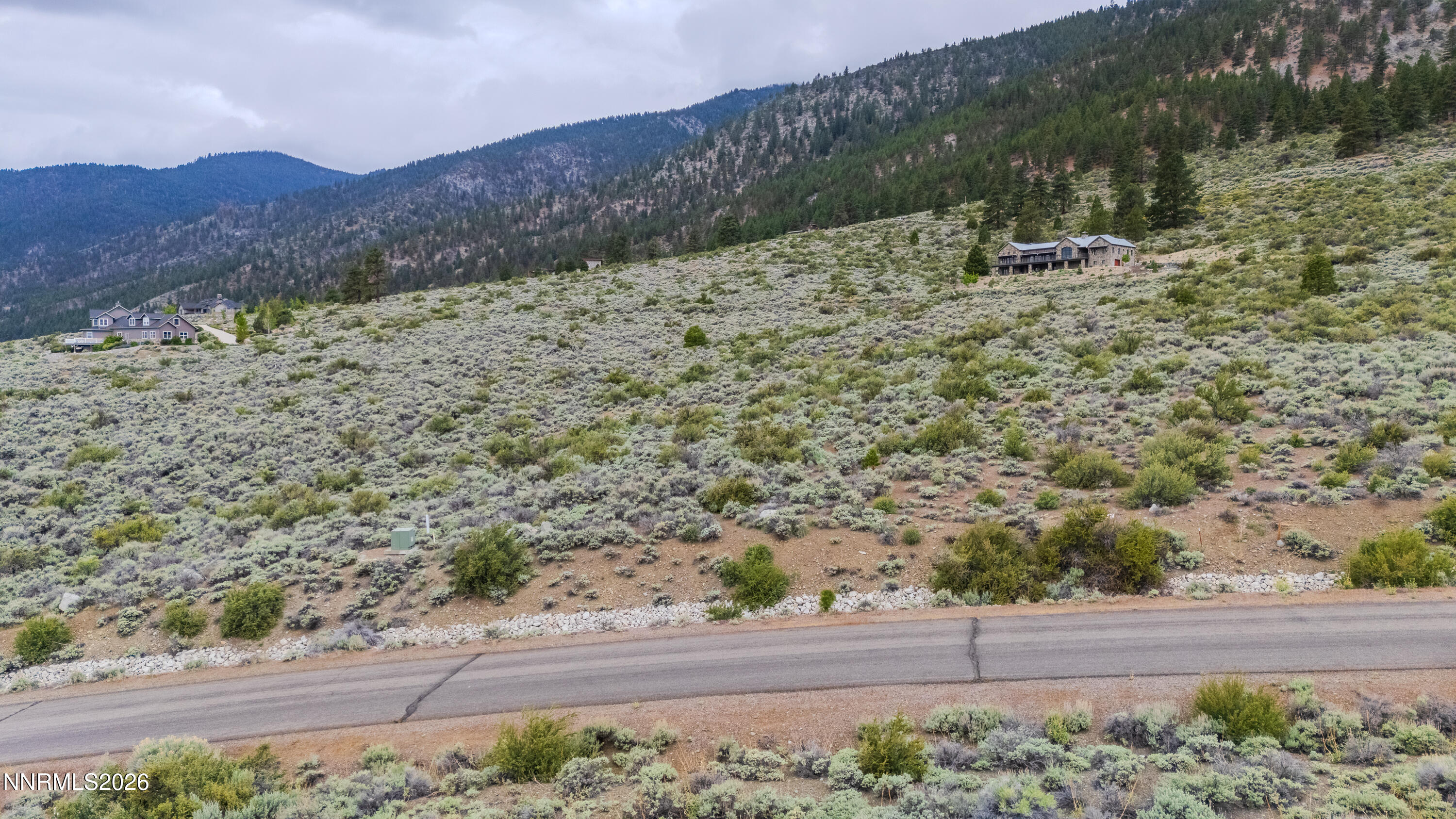 301 Adams Ranch Road Genoa, NV 89411 - Photo 11 of 25 a view of a dry yard with trees