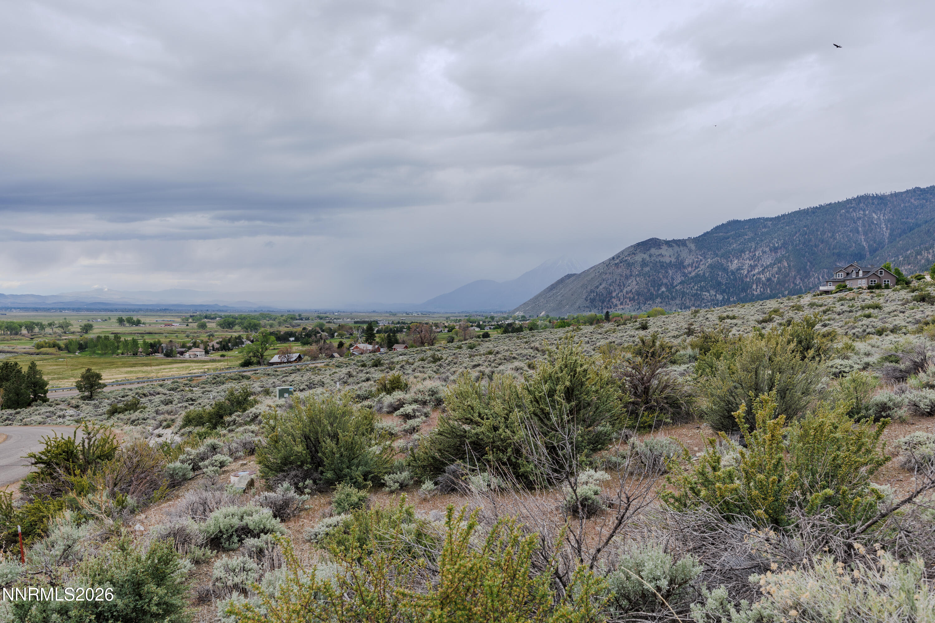 301 Adams Ranch Road Genoa, NV 89411 - Photo 15 of 25 a view of a bunch of trees and houses