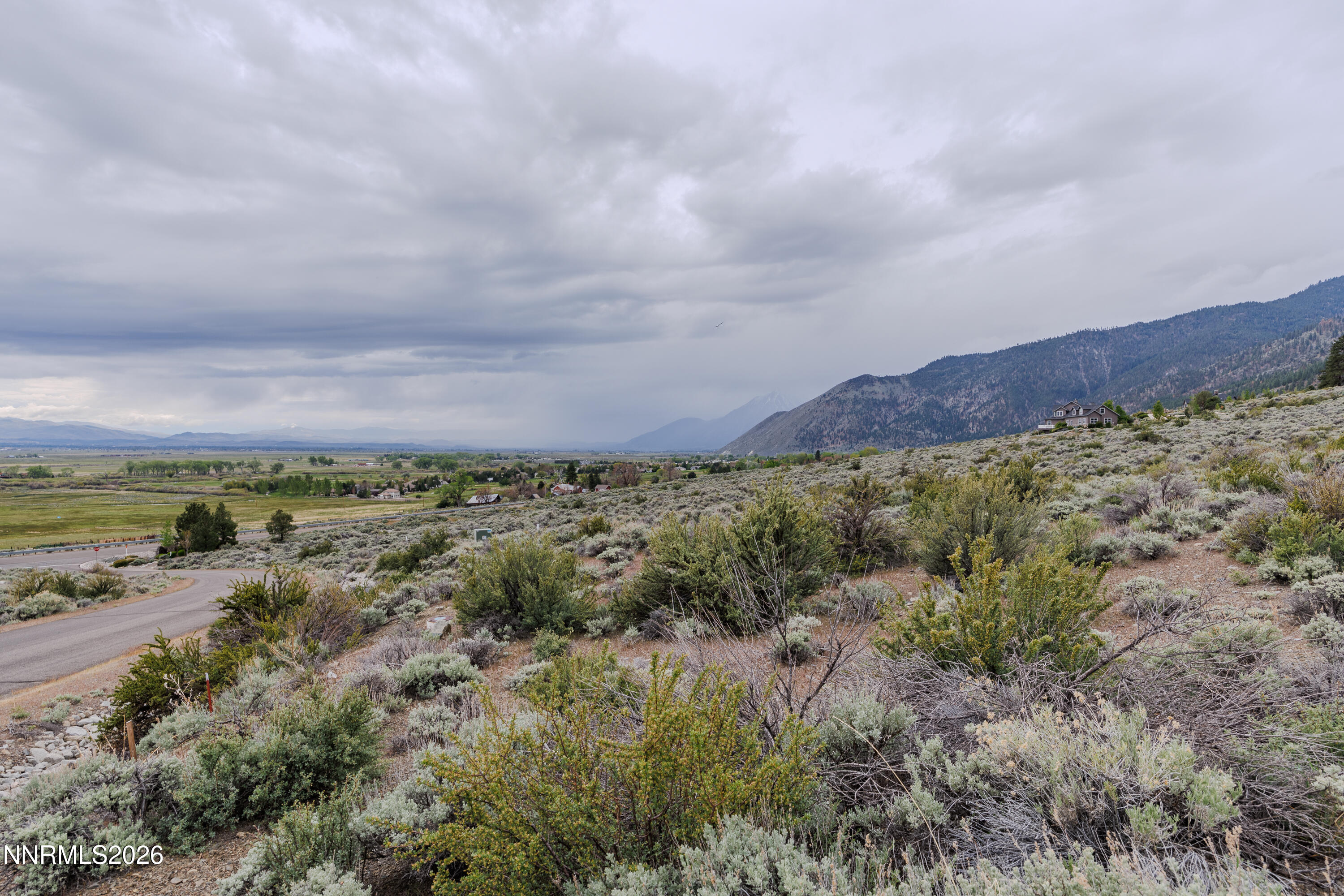 301 Adams Ranch Road Genoa, NV 89411 - Photo 16 of 25 a view of a bunch of trees and houses