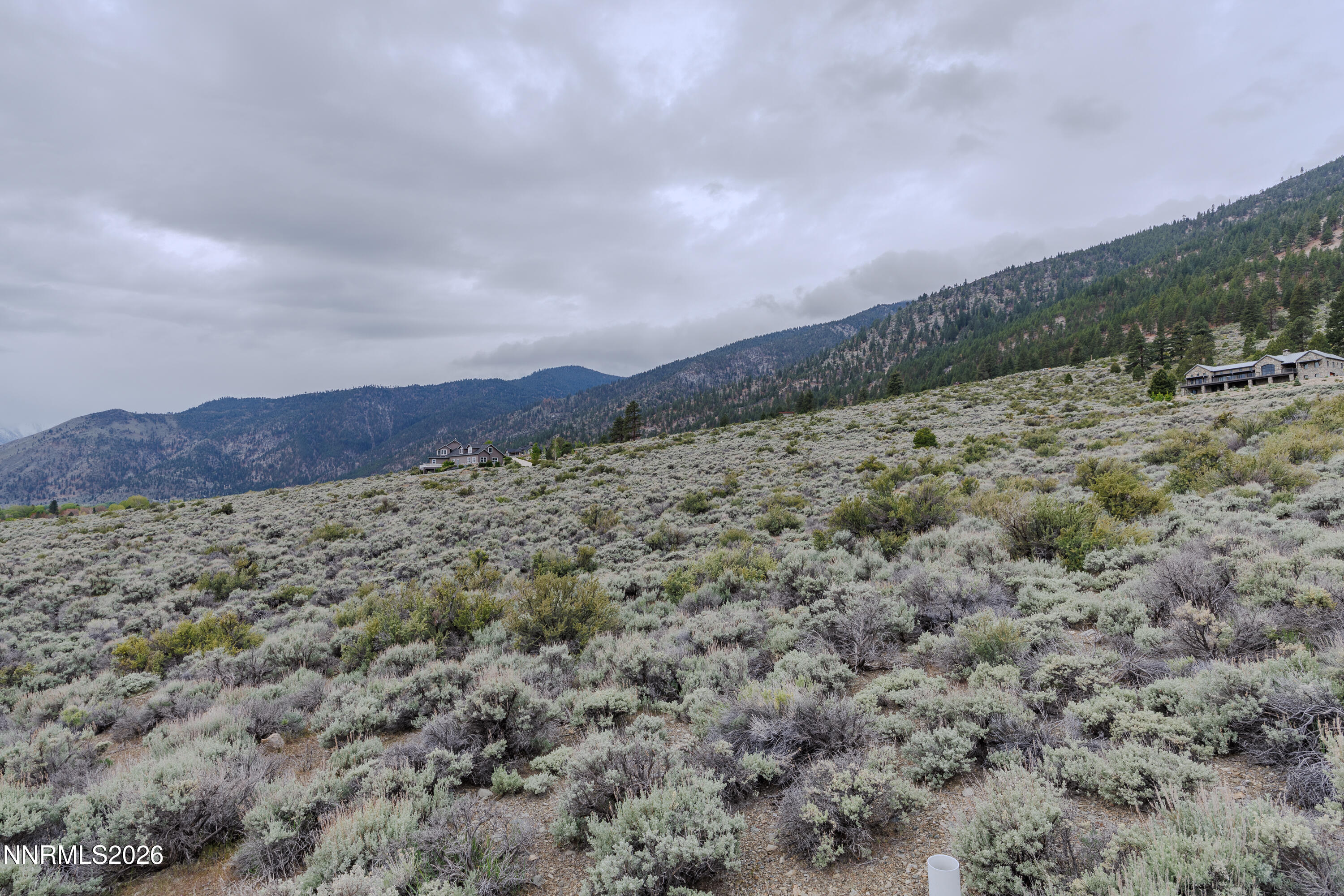 301 Adams Ranch Road Genoa, NV 89411 - Photo 19 of 25