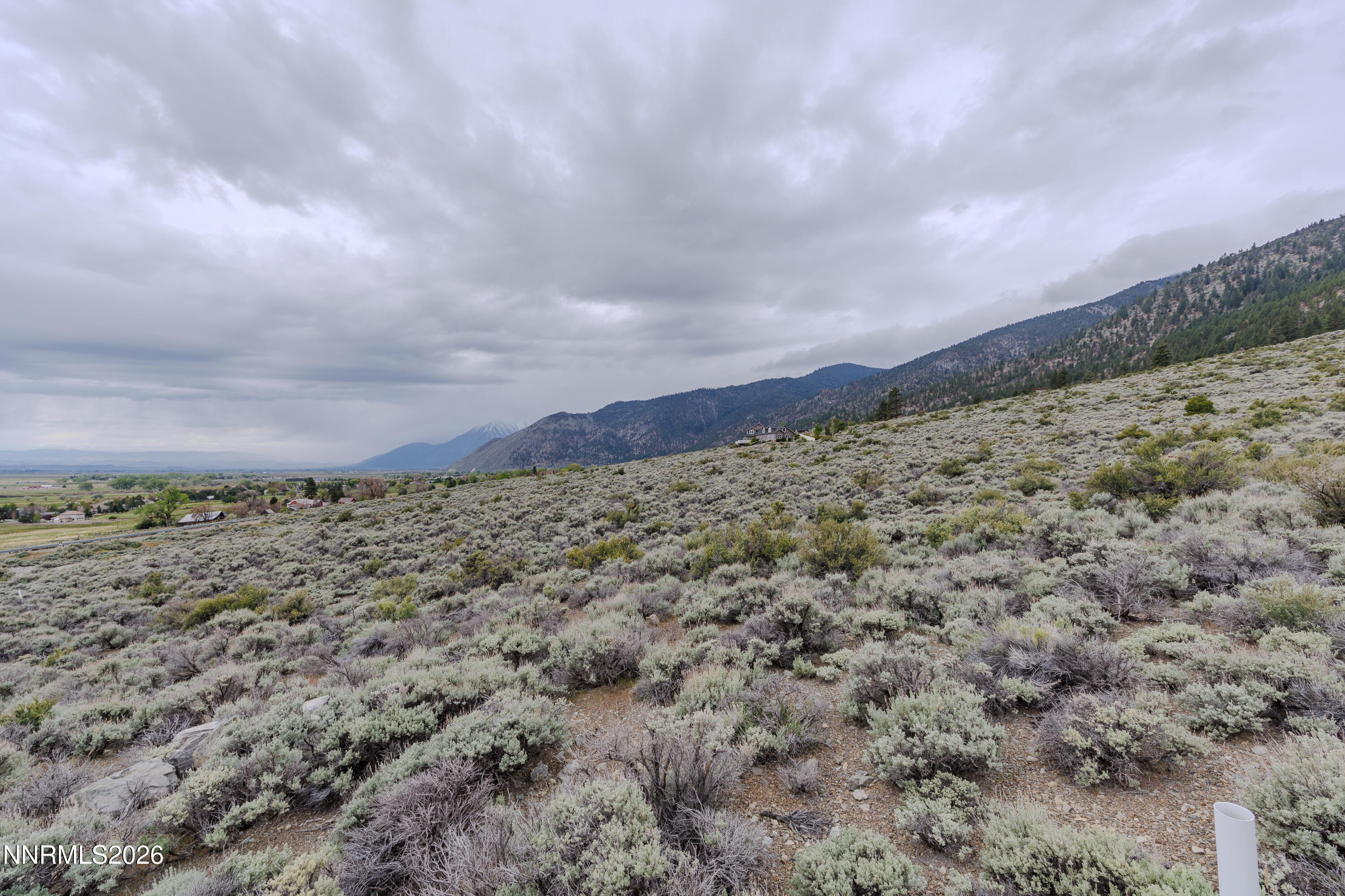 301 Adams Ranch Road Genoa, NV 89411 - Photo 20 of 25 a view of a field