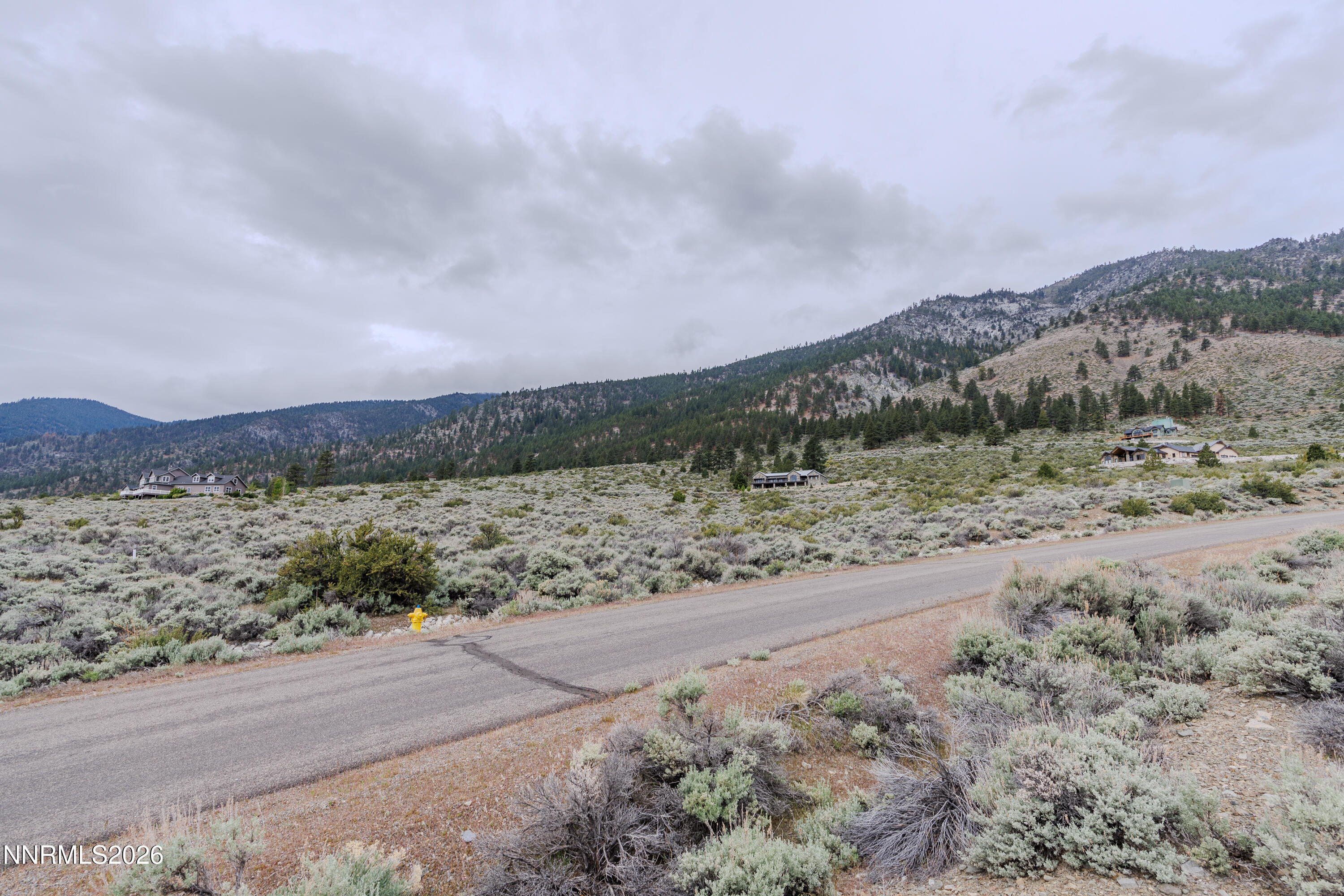 301 Adams Ranch Road Genoa, NV 89411 - Photo 22 of 25 a view of a rural road with plants