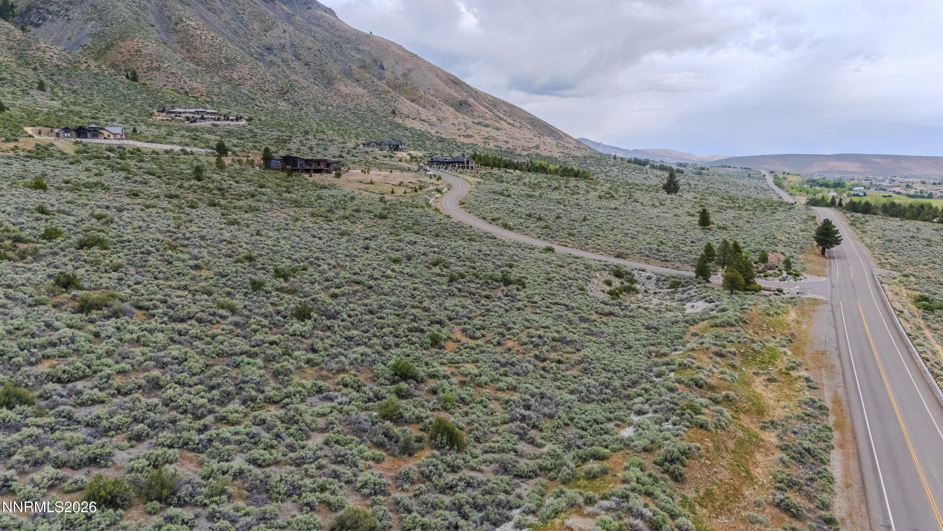 301 Adams Ranch Road Genoa, NV 89411 - Photo 6 of 25 a view of a dry yard with lots of trees