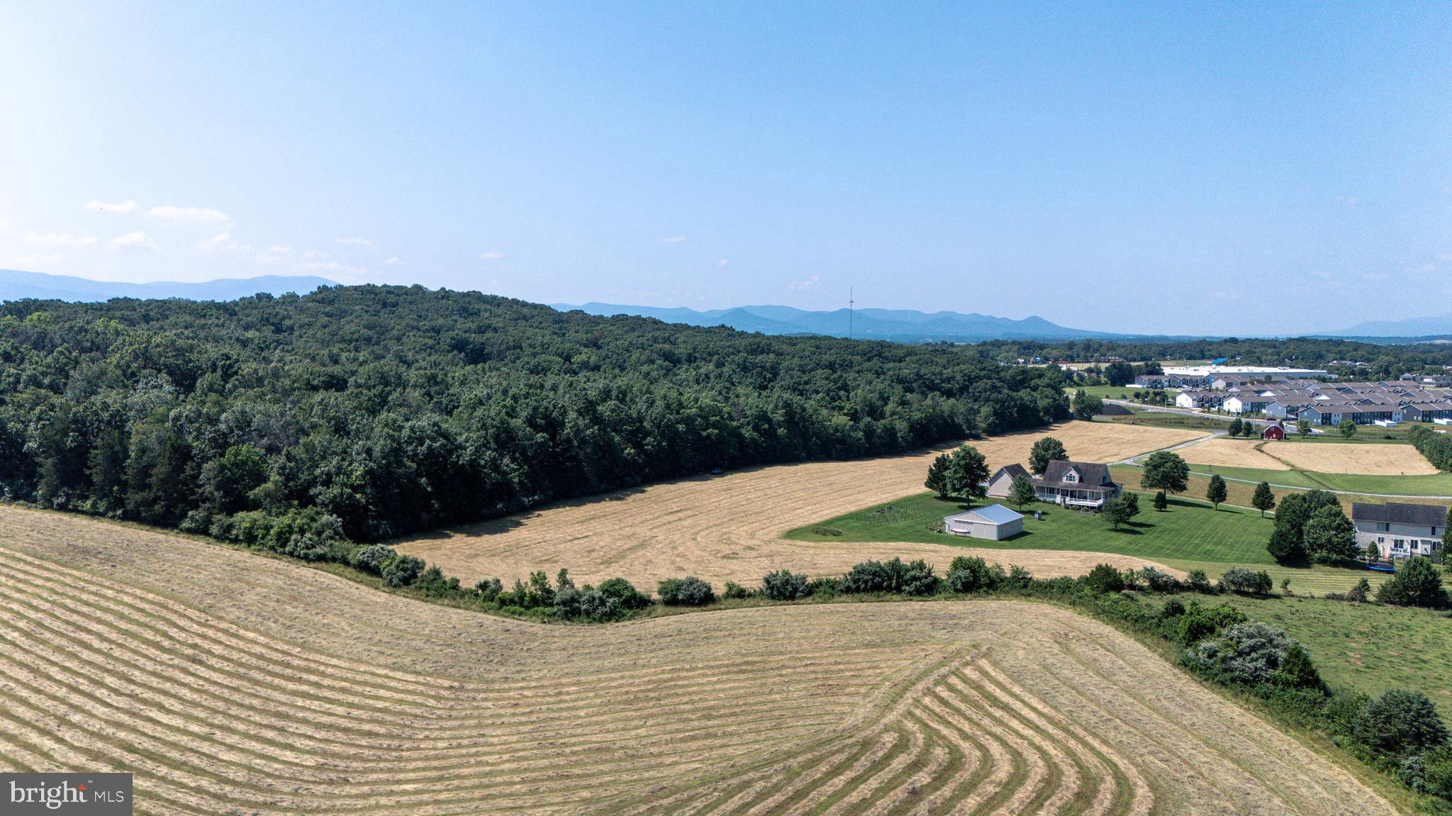 0 Cave Hill Road Luray, VA 22835 - Photo 15 of 49