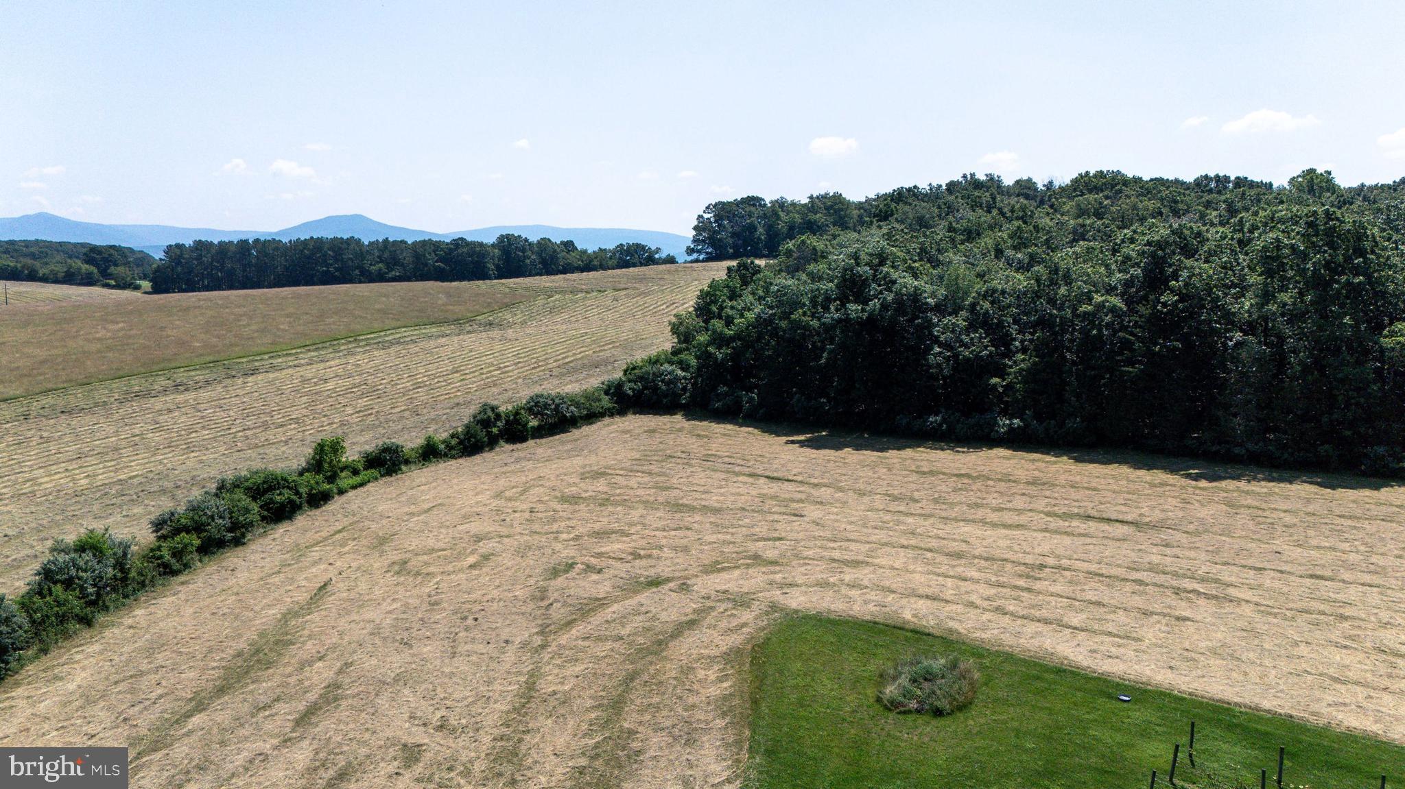 0 Cave Hill Road Luray, VA 22835 - Photo 17 of 49 a view of lake and mountain