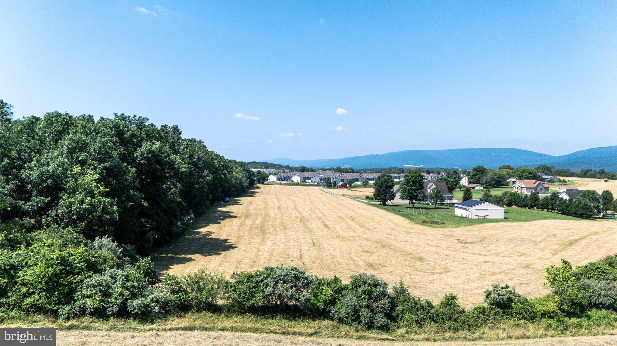 0 Cave Hill Road Luray, VA 22835 - Photo 18 of 49