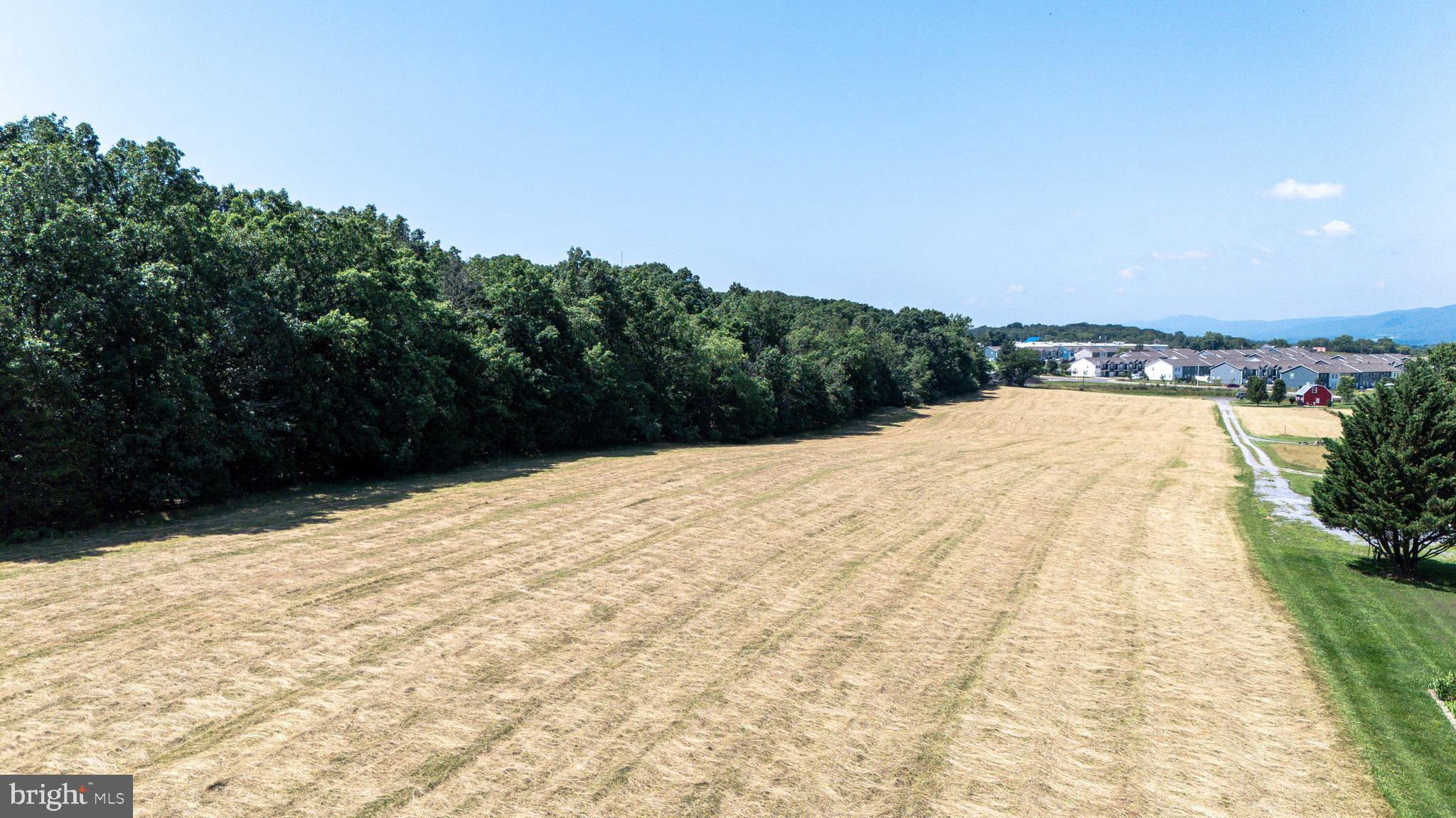 0 Cave Hill Road Luray, VA 22835 - Photo 24 of 49 a view of empty room
