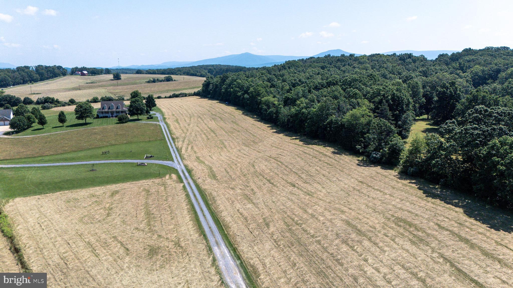 0 Cave Hill Road Luray, VA 22835 - Photo 34 of 49 a view of a backyard