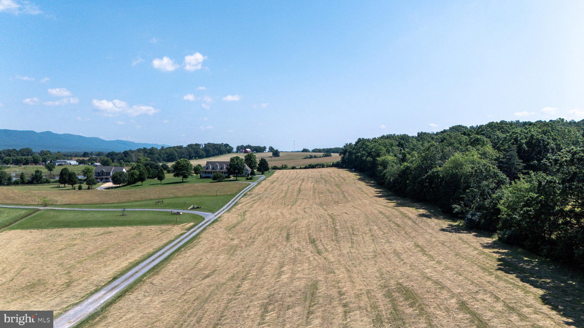 0 Cave Hill Road Luray, VA 22835 - Photo 38 of 49 a view of a garden with an trees