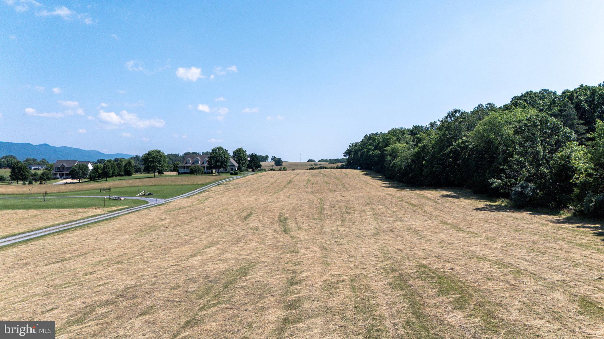 0 Cave Hill Road Luray, VA 22835 - Photo 39 of 49 a view of an outdoor space and a yard