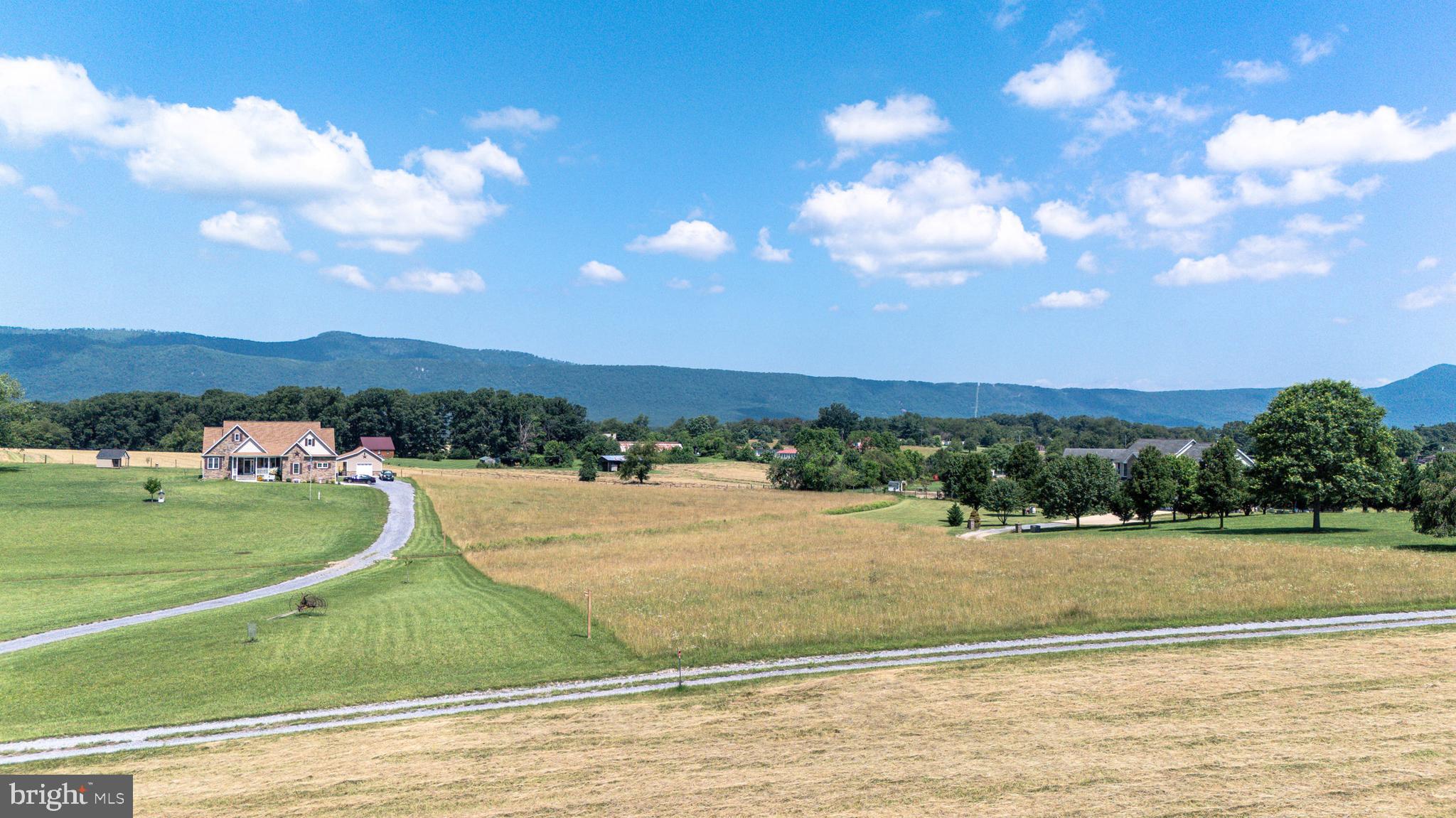 0 Cave Hill Road Luray, VA 22835 - Photo 44 of 49 a view of a terrace