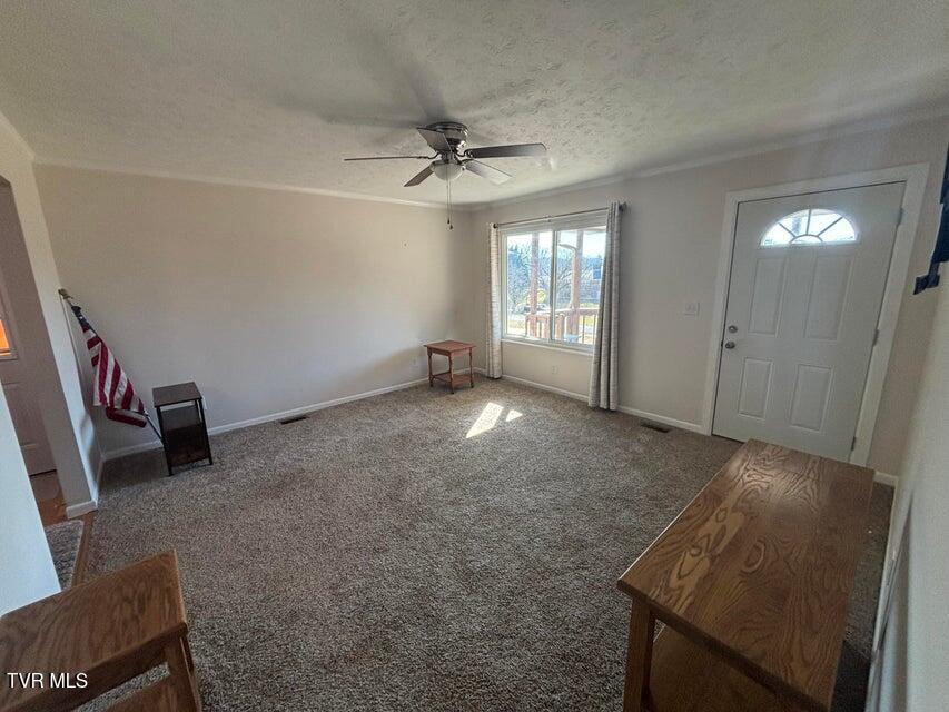 155 Oak Tree Lane Sneedville, TN 37869 - Photo 12 of 20 oak tree lr