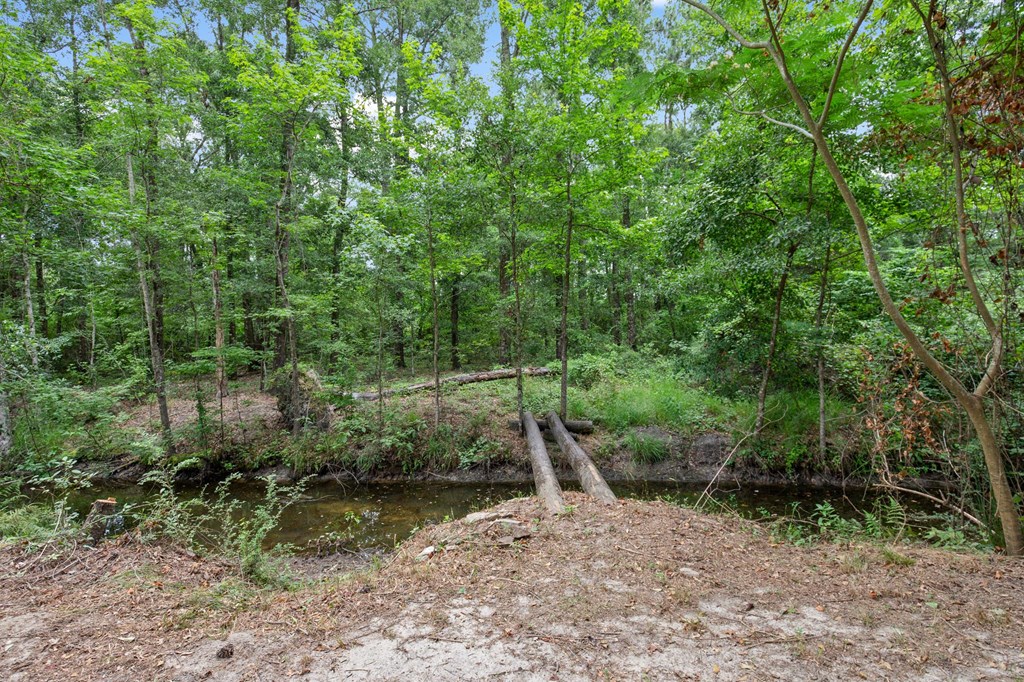 15 Apostolic Church Road Dothan, AL 36301 - Photo 58 of 63