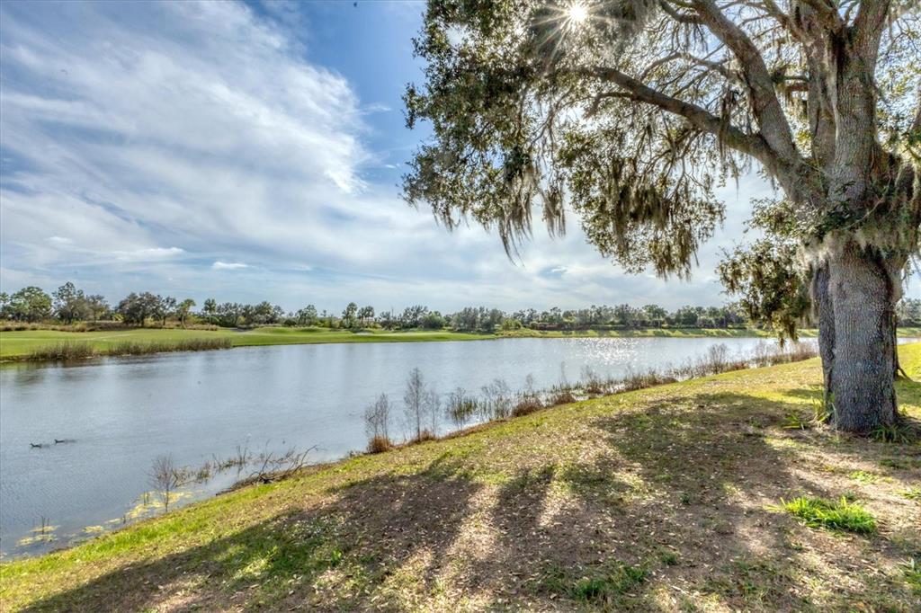 13732 Messina Loop, Unit 202 Bradenton, FL 34211 - Photo 37 of 72