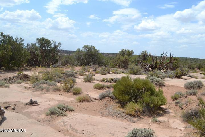 3813 Hay Hollow Road, Unit 13 Snowflake, AZ 85937 - Photo 12 of 43 20260716000003993530000000-o