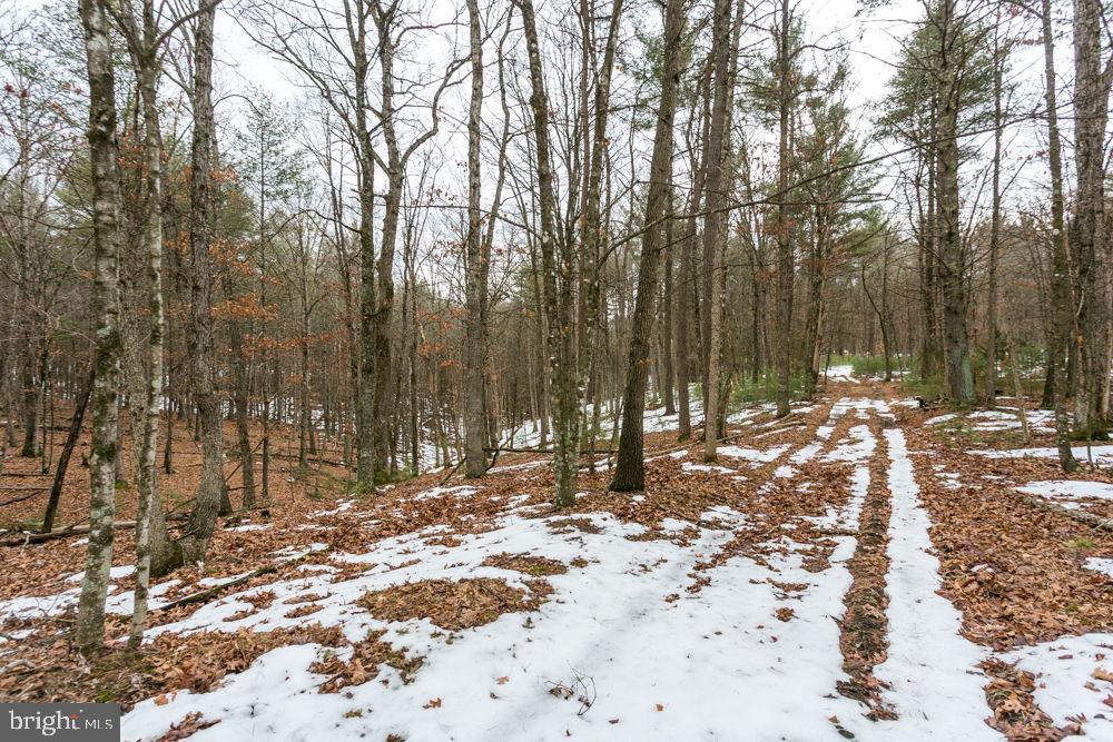 Lot 44 Rainbow Ridge Road Bergton, VA 22811 - Photo 4 of 7 Gallery Image 4