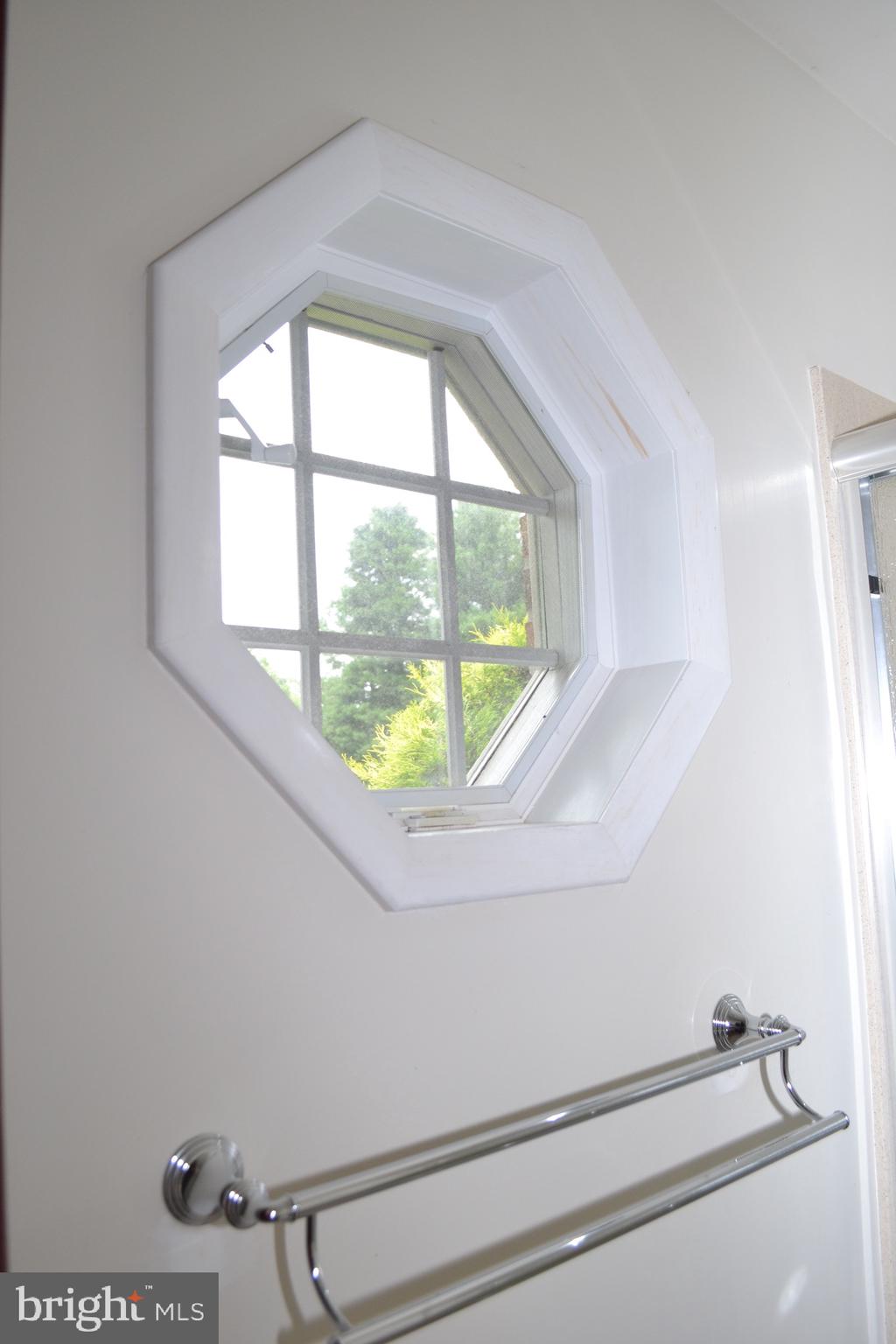 6144 King Road Boonsboro, MD 21713 - Photo 16 of 31 Window detail in master!