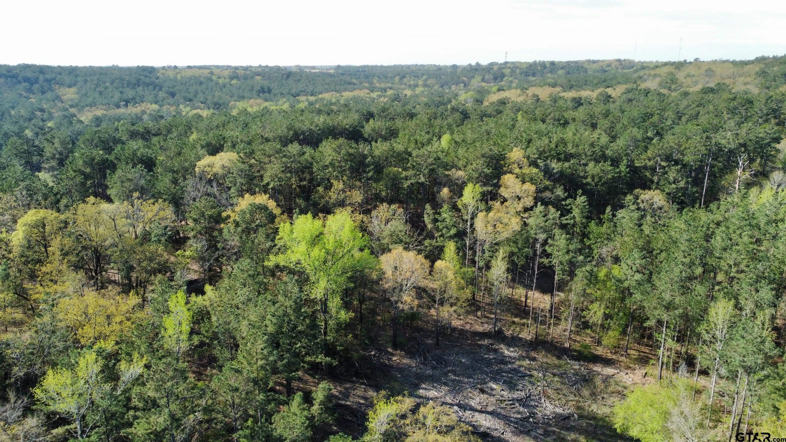 0 C R 434 Lindale, TX 75771 - Photo 18 of 29