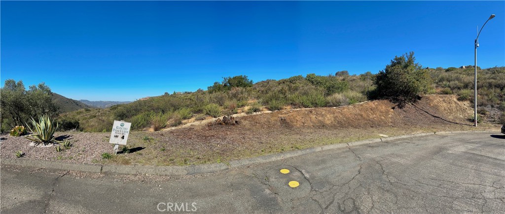 2005 Corte Asoleado Alpine, CA 91901 - Photo 13 of 22 a view of a road with tall trees