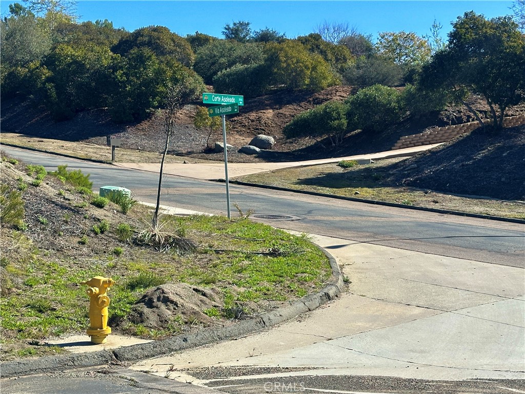2005 Corte Asoleado Alpine, CA 91901 - Photo 14 of 22 a view of a garden