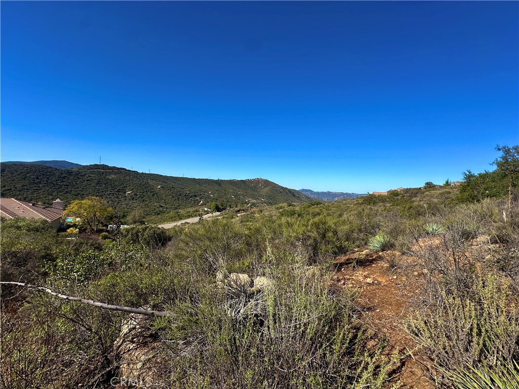2005 Corte Asoleado Alpine, CA 91901 - Photo 8 of 22 a view of a mountain range with a lush green forest
