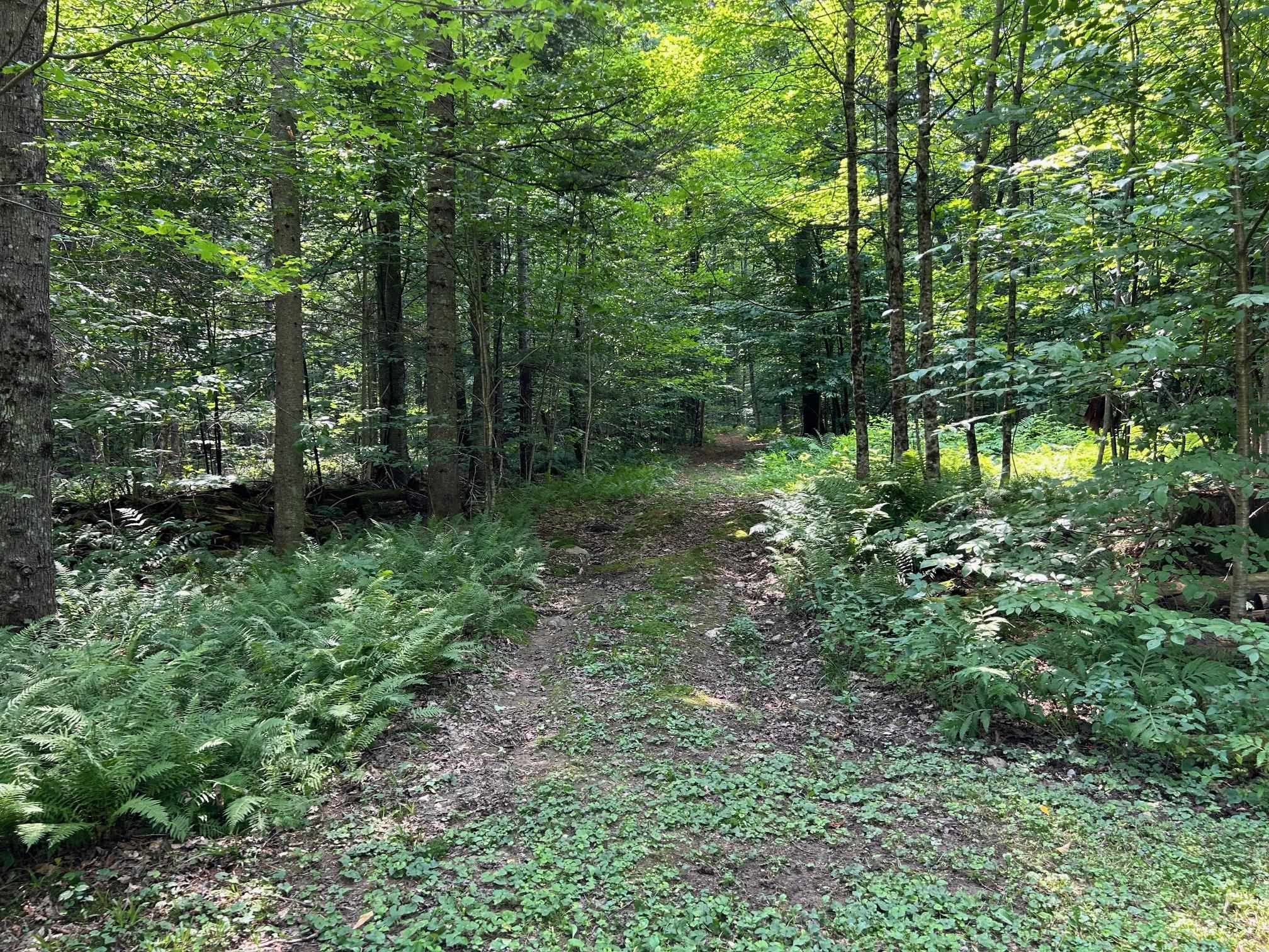 Reilly Road Londonderry, VT 05148 - Photo 4 of 6