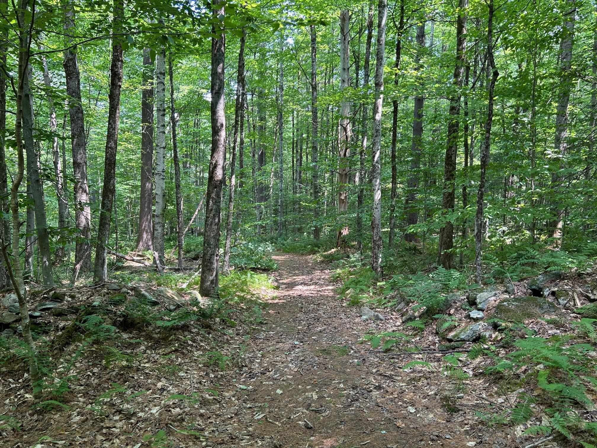 Reilly Road Londonderry, VT 05148 - Photo 5 of 6