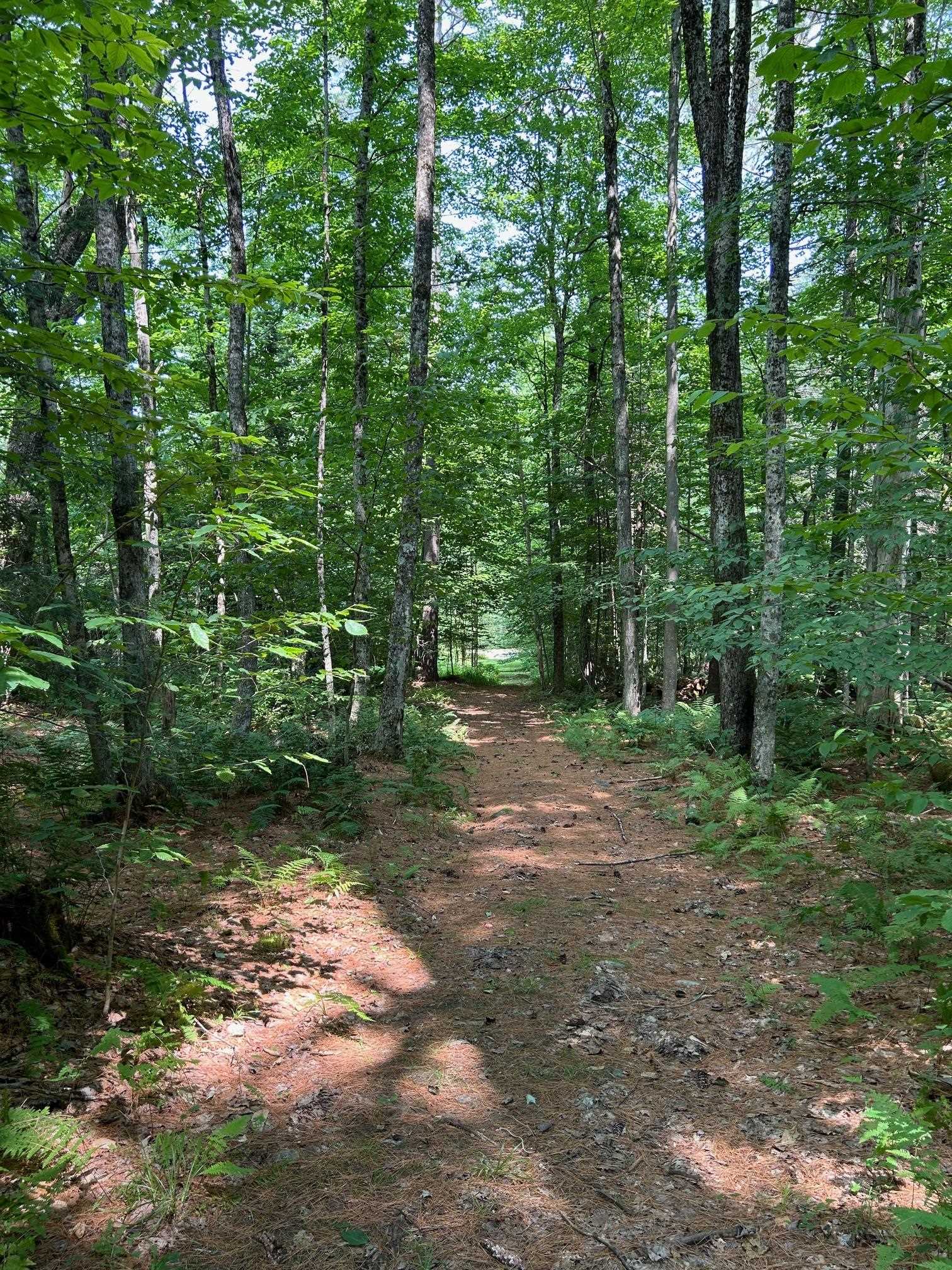 Reilly Road Londonderry, VT 05148 - Photo 6 of 6