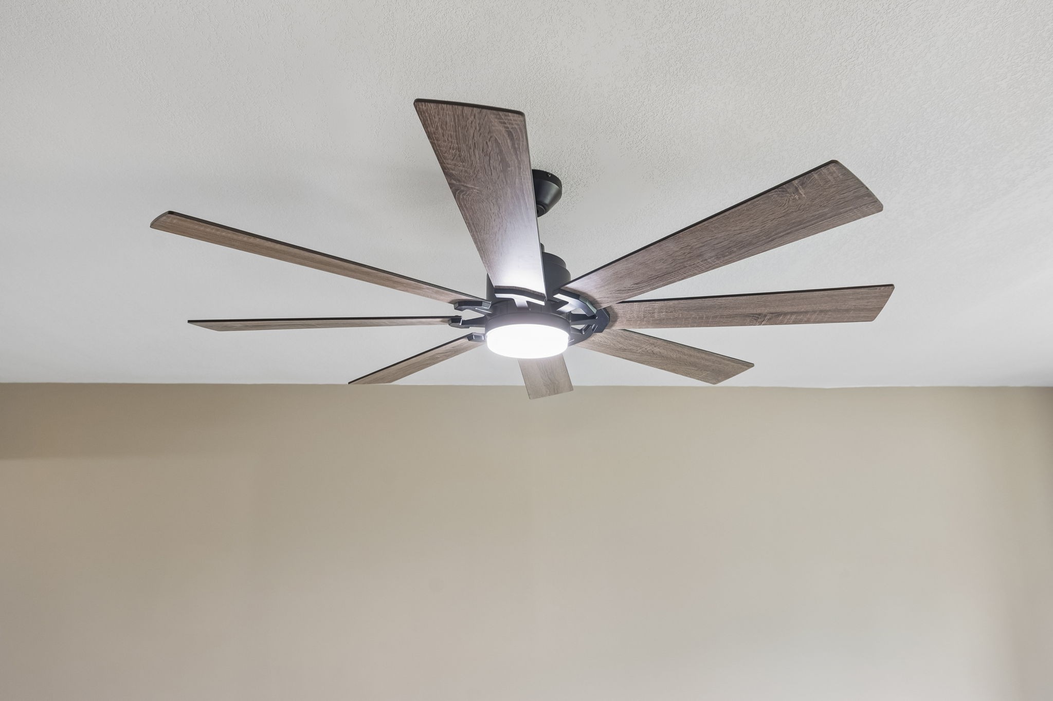 1985 Egypt Road Chapel Hill, TN 37034 - Photo 26 of 95