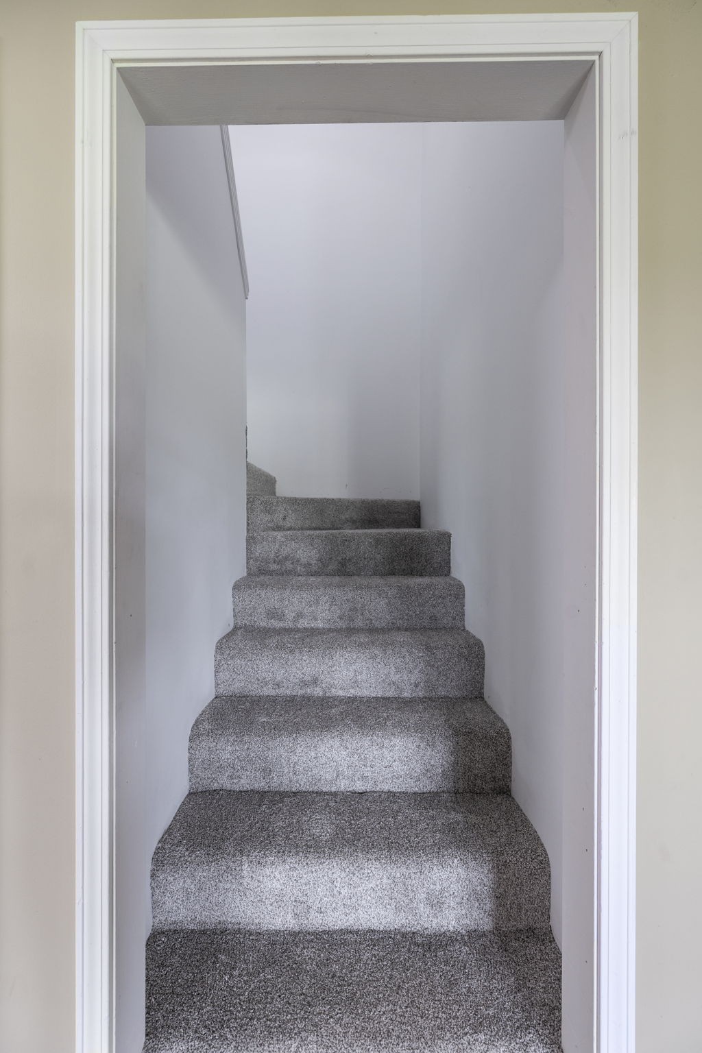 1985 Egypt Road Chapel Hill, TN 37034 - Photo 56 of 95