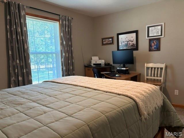 484 Dunham Road St. James, MO 65559 - Photo 65 of 85 Gallery Image 65