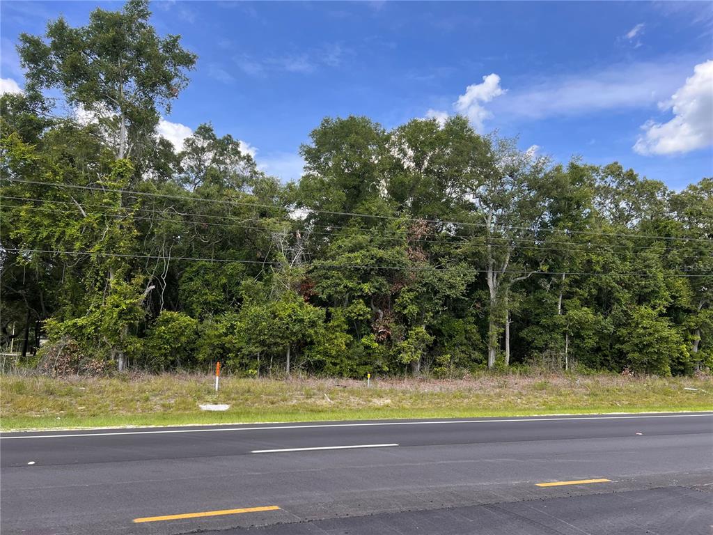 19 Us Chiefland, FL 32626 - Photo 3 of 3 a view of a yard with a house in the background