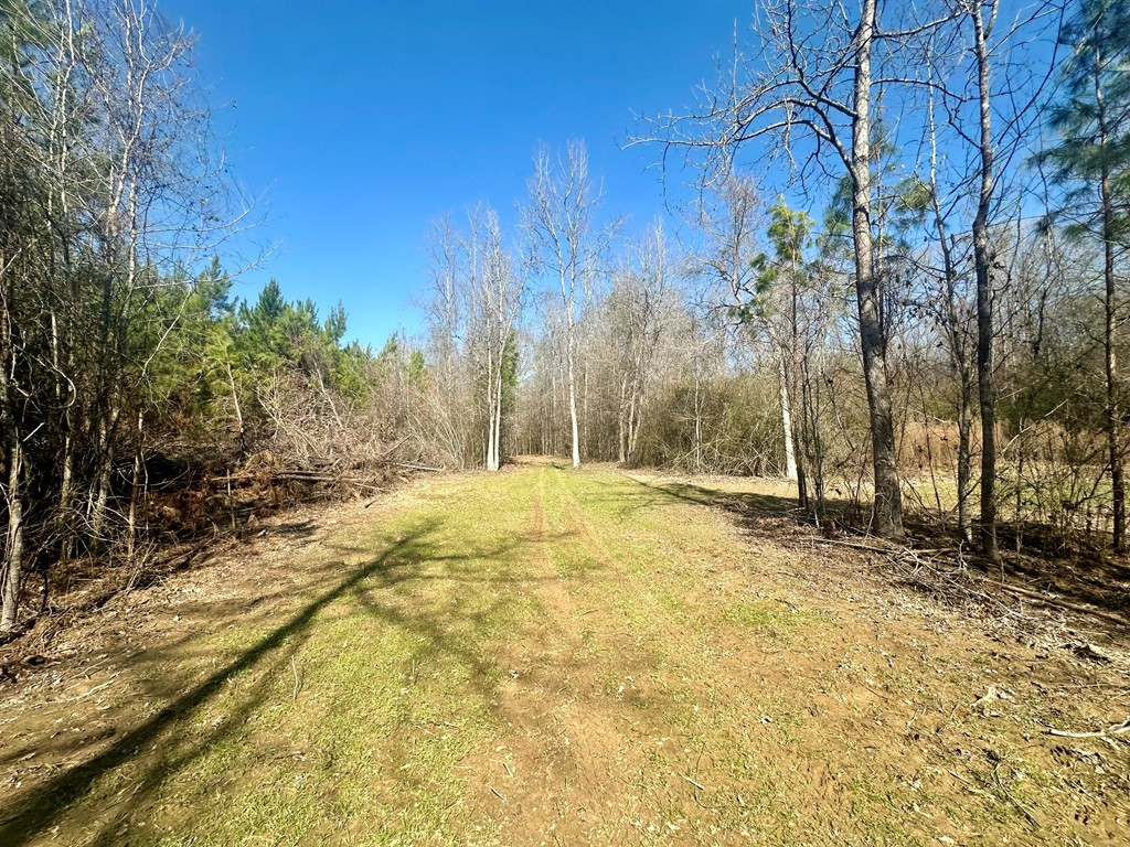 Tbd John I Hay Road Hazlehurst, MS 39083 - Photo 11 of 53 Photo 11
