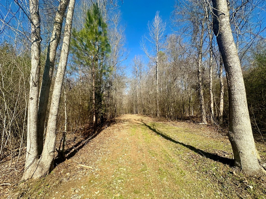 Tbd John I Hay Road Hazlehurst, MS 39083 - Photo 12 of 53 Photo 12