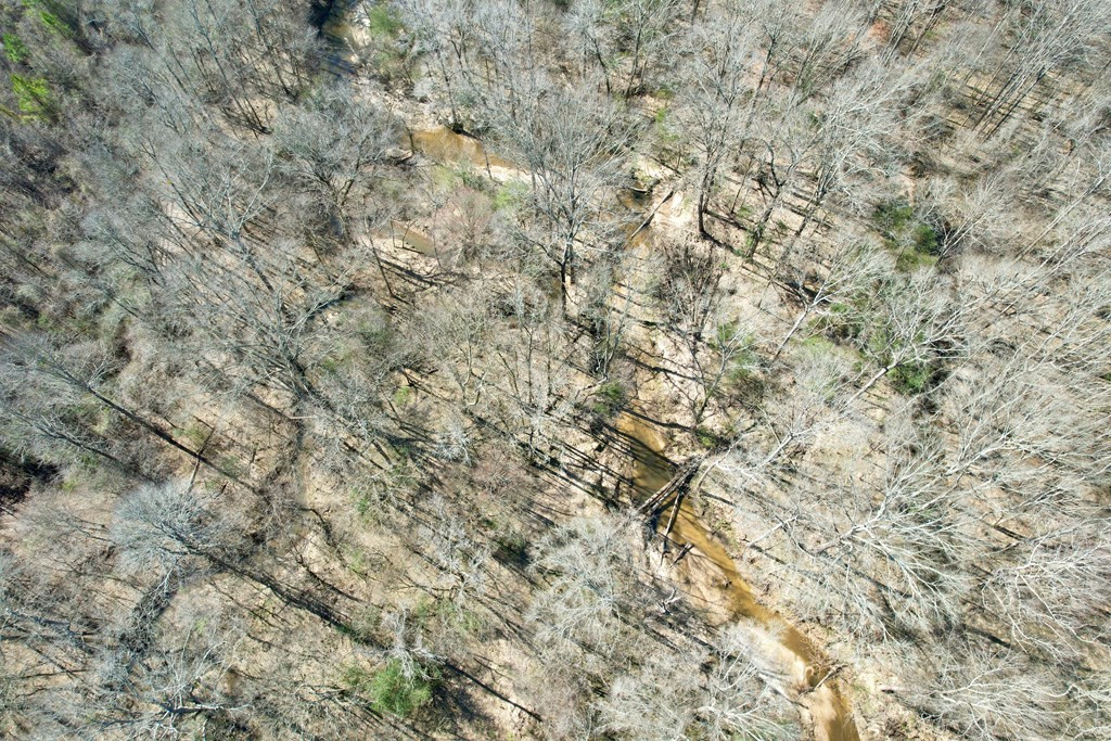 Tbd John I Hay Road Hazlehurst, MS 39083 - Photo 15 of 53 Photo 15
