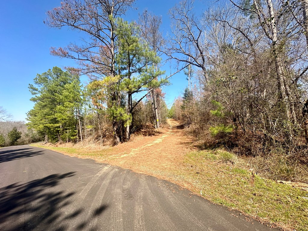 Tbd John I Hay Road Hazlehurst, MS 39083 - Photo 2 of 53 Photo 2