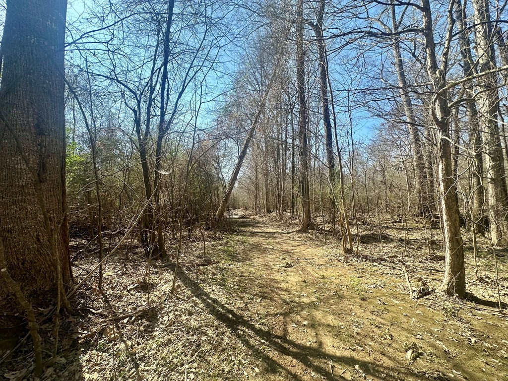 Tbd John I Hay Road Hazlehurst, MS 39083 - Photo 21 of 53 Photo 21