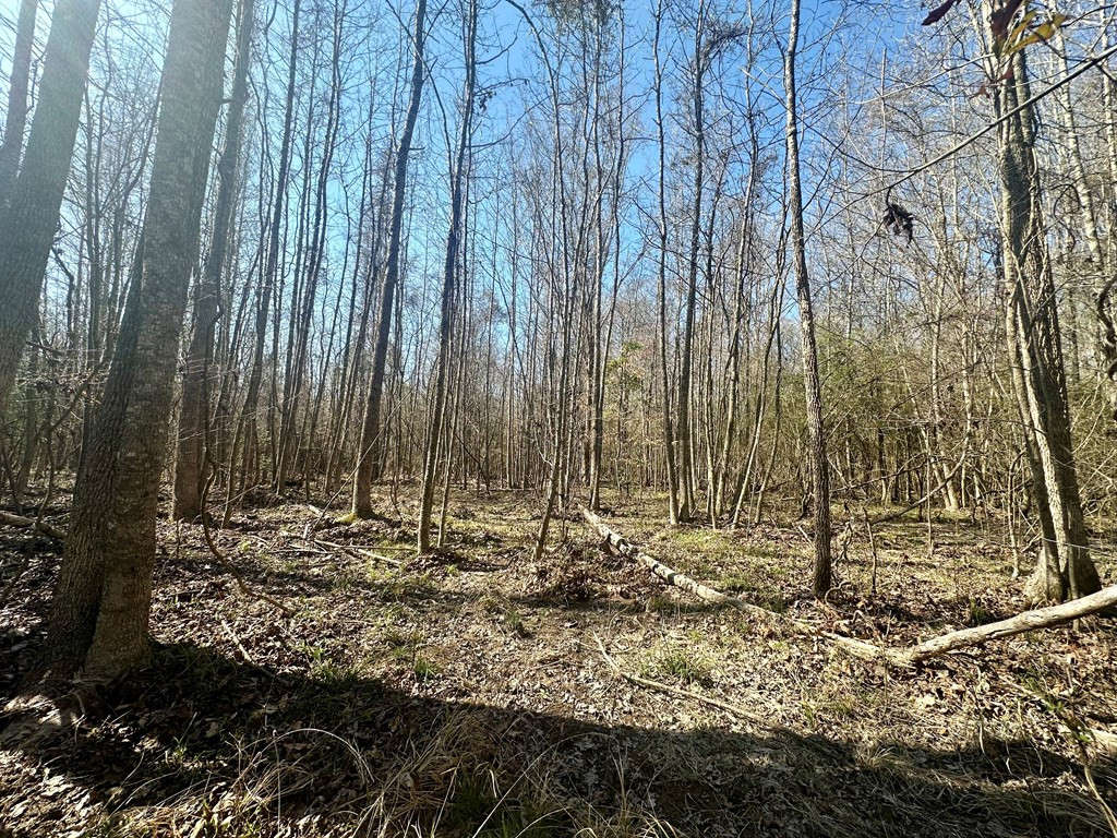 Tbd John I Hay Road Hazlehurst, MS 39083 - Photo 22 of 53 Photo 22