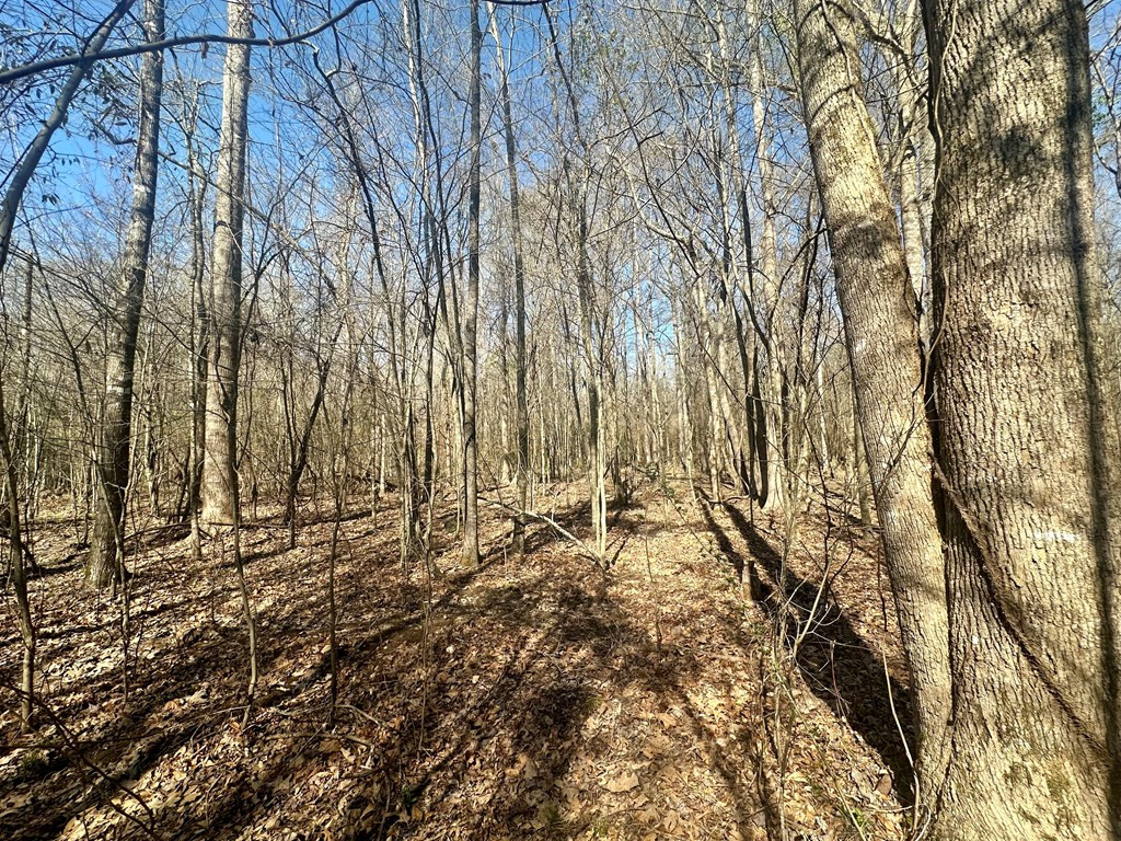 Tbd John I Hay Road Hazlehurst, MS 39083 - Photo 23 of 53 Photo 23