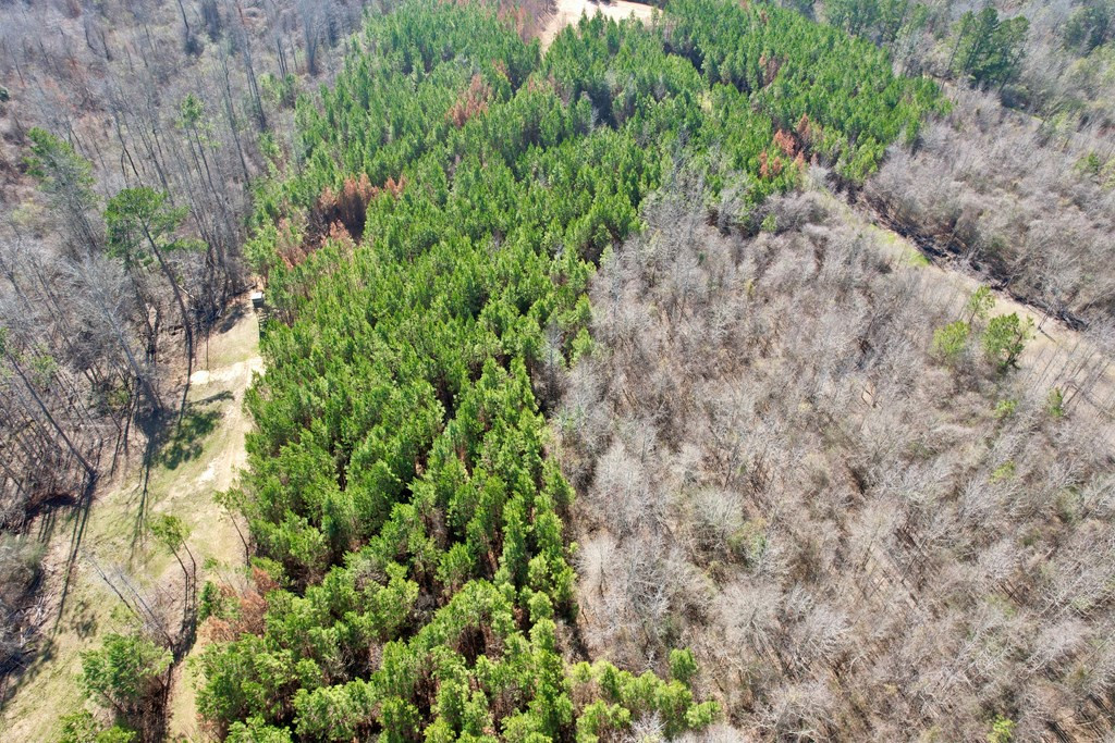 Tbd John I Hay Road Hazlehurst, MS 39083 - Photo 26 of 53 Photo 26