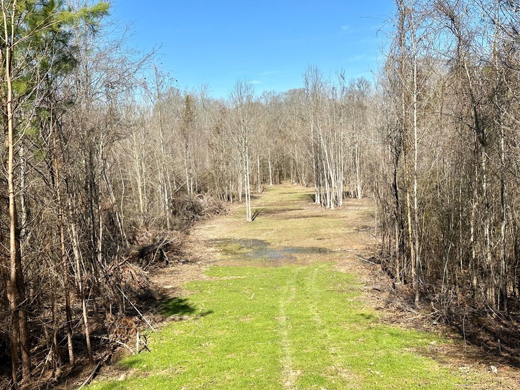 Tbd John I Hay Road Hazlehurst, MS 39083 - Photo 27 of 53 Photo 27