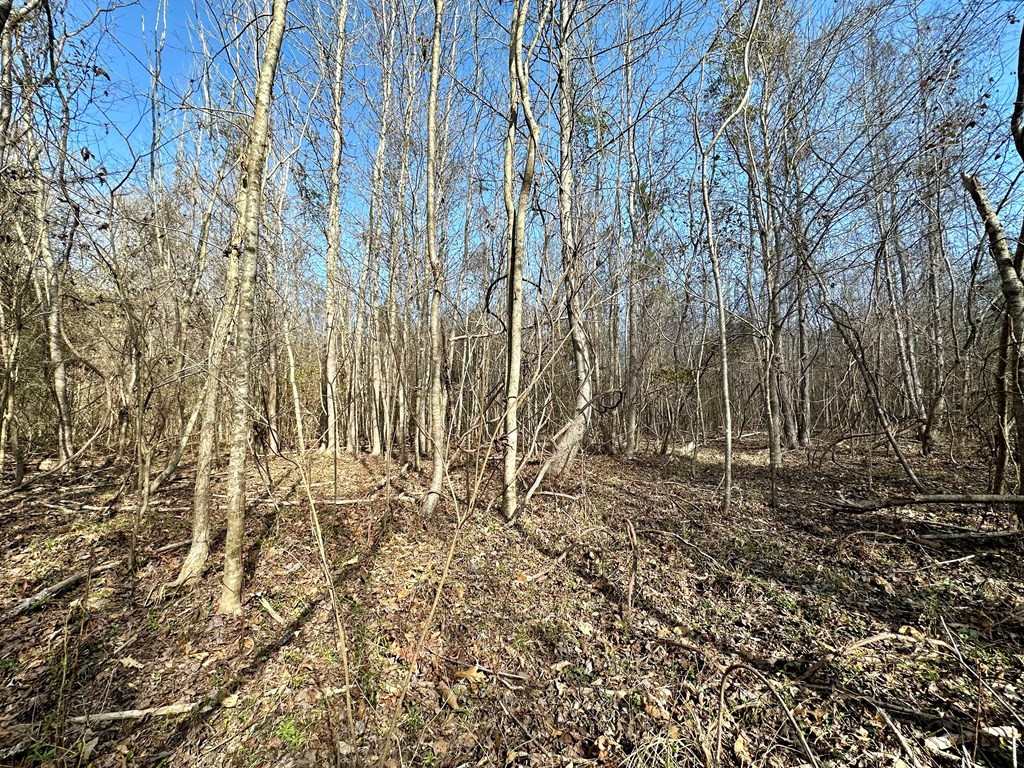 Tbd John I Hay Road Hazlehurst, MS 39083 - Photo 28 of 53 Photo 28